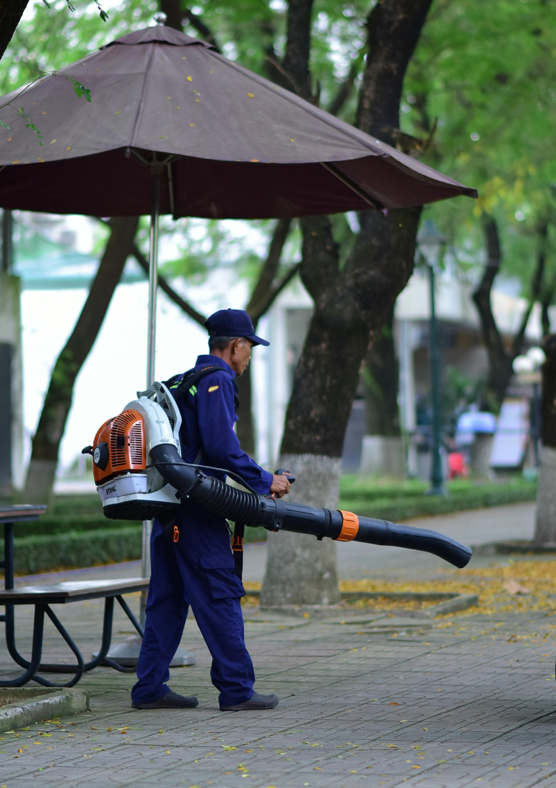 Best Gas Powered Leaf Blower